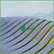 8000800W blu 127V - centrali elettriche fotovoltaiche 50Hz/60Hz della larga scala 415V