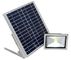 Luce di inondazione Moto-Attivata principale alimentata solare della PANNOCCHIA verde di energia con 700lumen