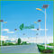 Illuminazione solare commerciale bianca professionale di colore 120W con i pannelli solari di PV