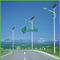Iluminazioni pubbliche economizzarici d'energia del pannello solare di IP65 20W LED con 5M Q235 Palo